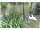 226 Stokers Road, Stokers Siding NSW 2484