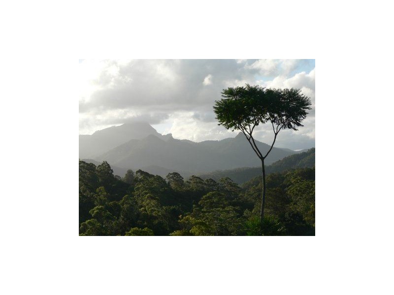 35 Hickory Way, Uki NSW 2484