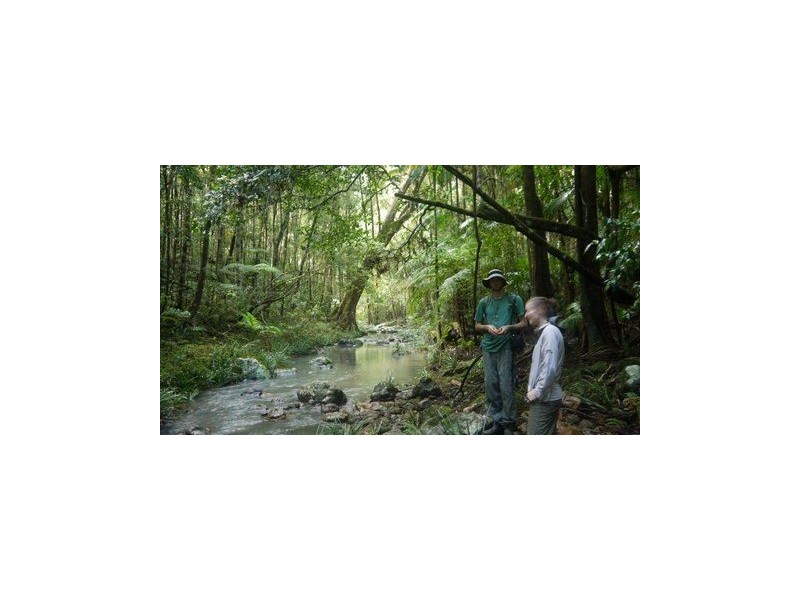 35 Hickory Way, Uki NSW 2484