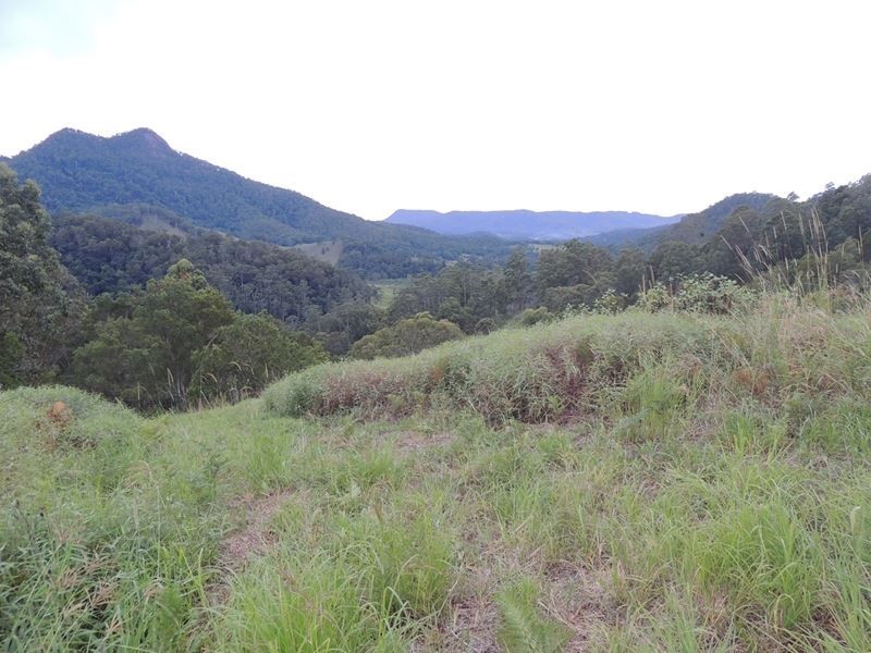 220 Kyogle Road, Uki NSW 2484