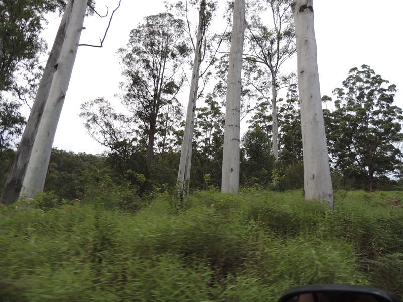 220 Kyogle Road, Uki NSW 2484