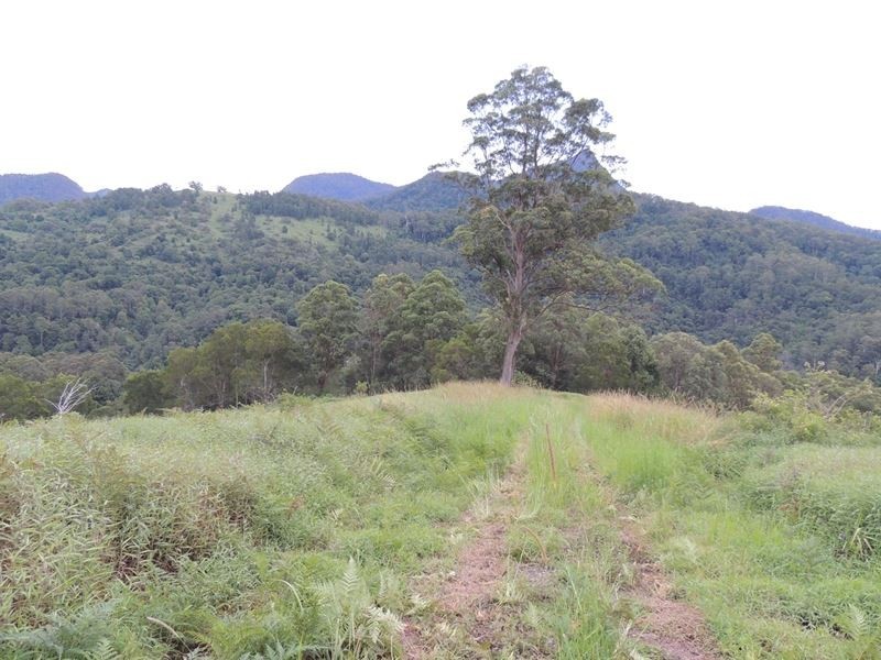 220 Kyogle Road, Uki NSW 2484