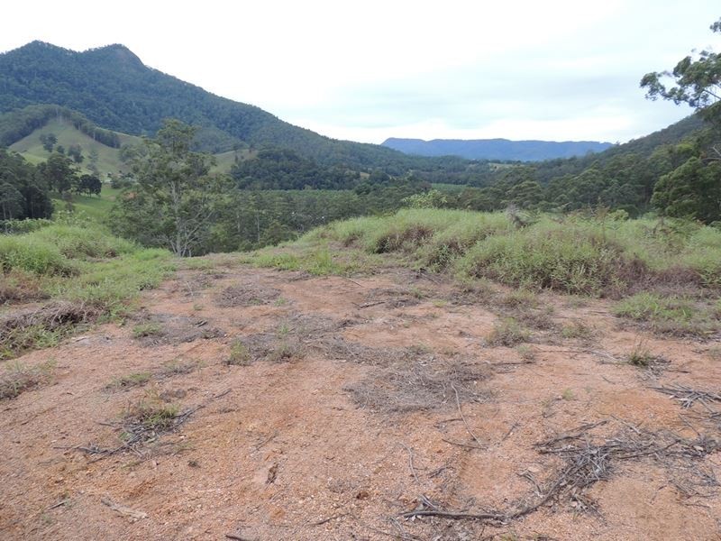 220 Kyogle Road, Uki NSW 2484