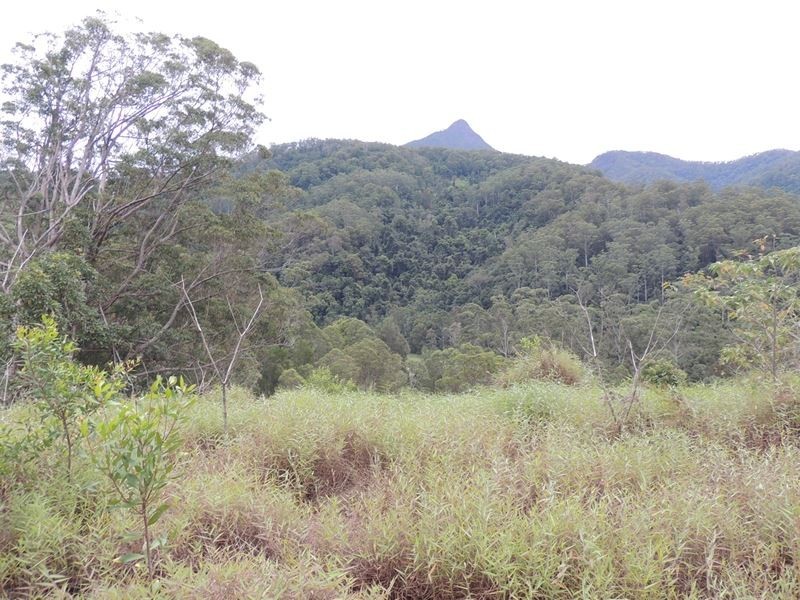 220 Kyogle Road, Uki NSW 2484