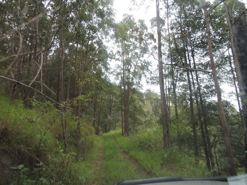 220 Kyogle Road, Uki NSW 2484