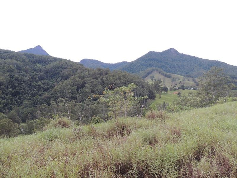 220 Kyogle Road, Uki NSW 2484