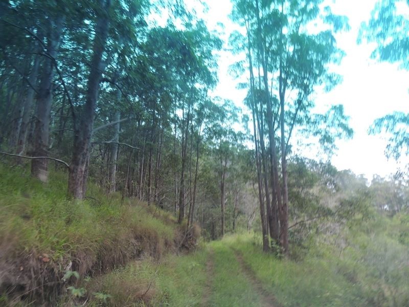 220 Kyogle Road, Uki NSW 2484