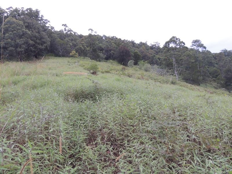 220 Kyogle Road, Uki NSW 2484