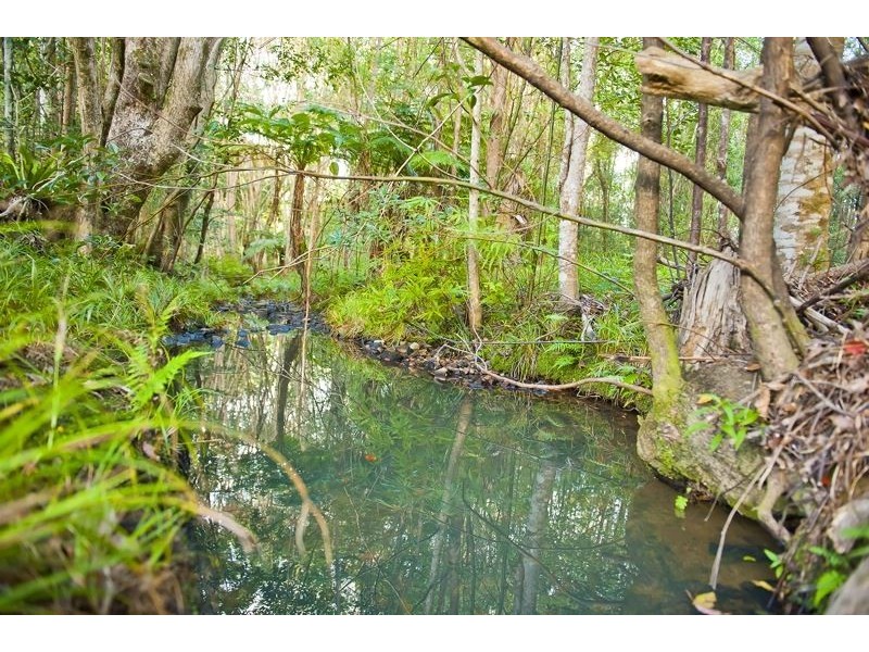 Crabbes Creek NSW 2483