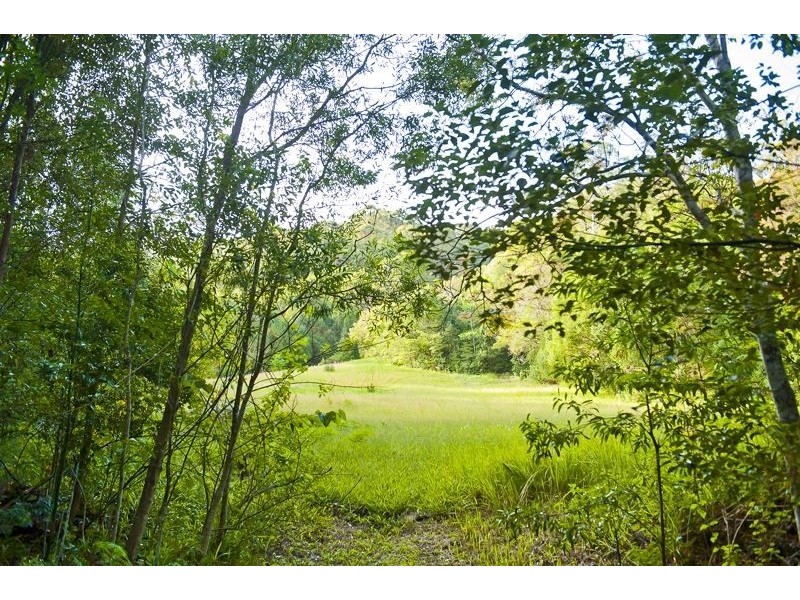 Crabbes Creek NSW 2483