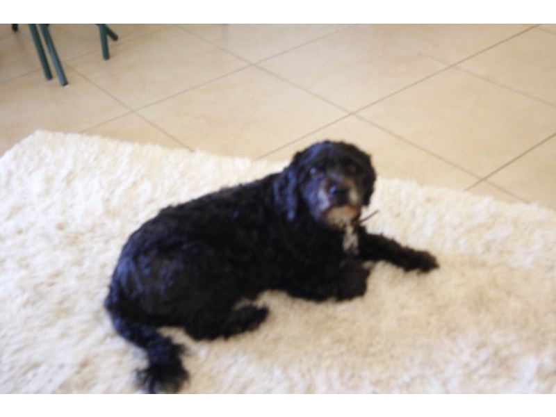 7 donalyn ct, Duranbah NSW 2487