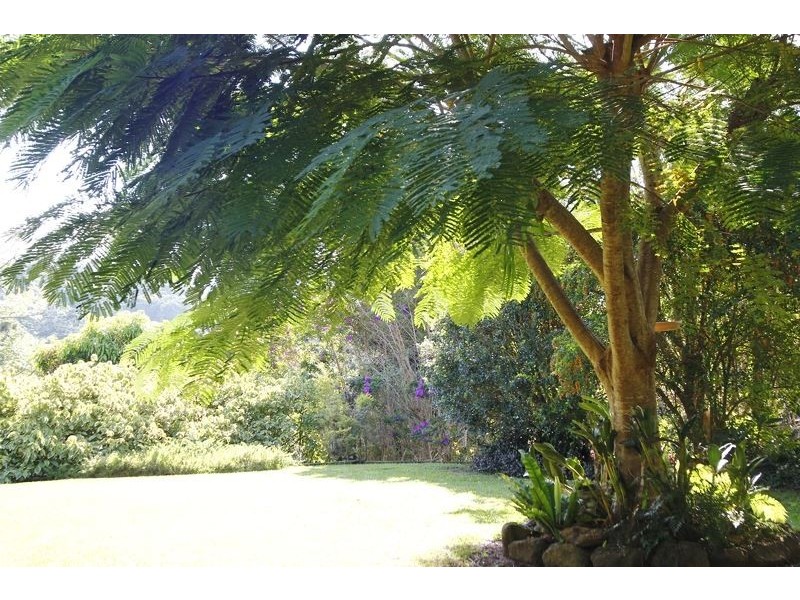 7 donalyn ct, Duranbah NSW 2487