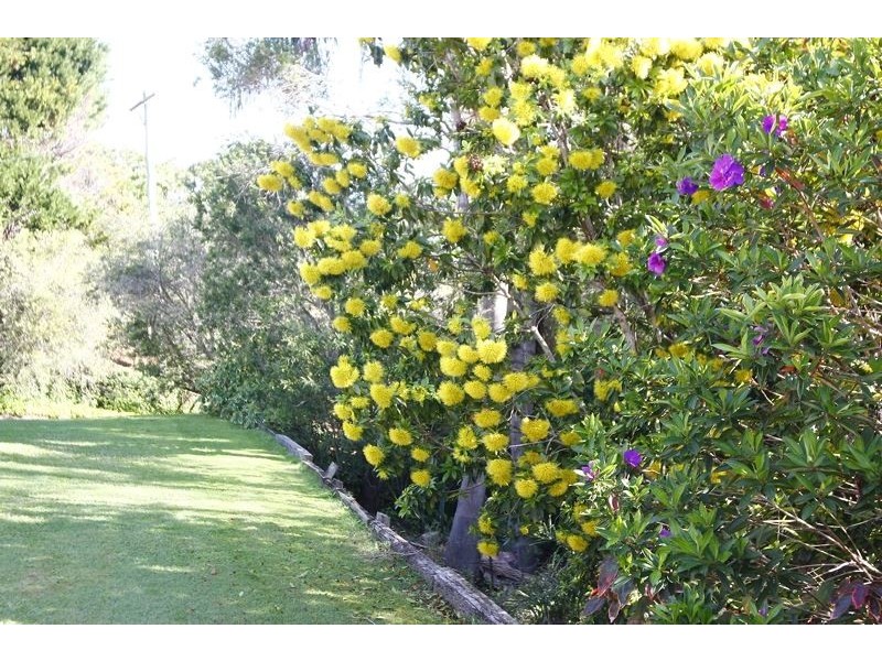 7 donalyn ct, Duranbah NSW 2487