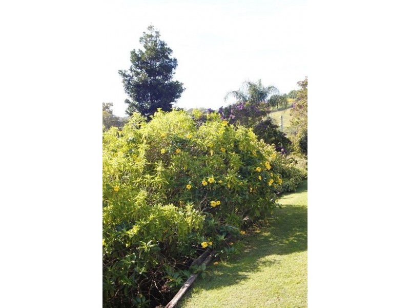 7 donalyn ct, Duranbah NSW 2487