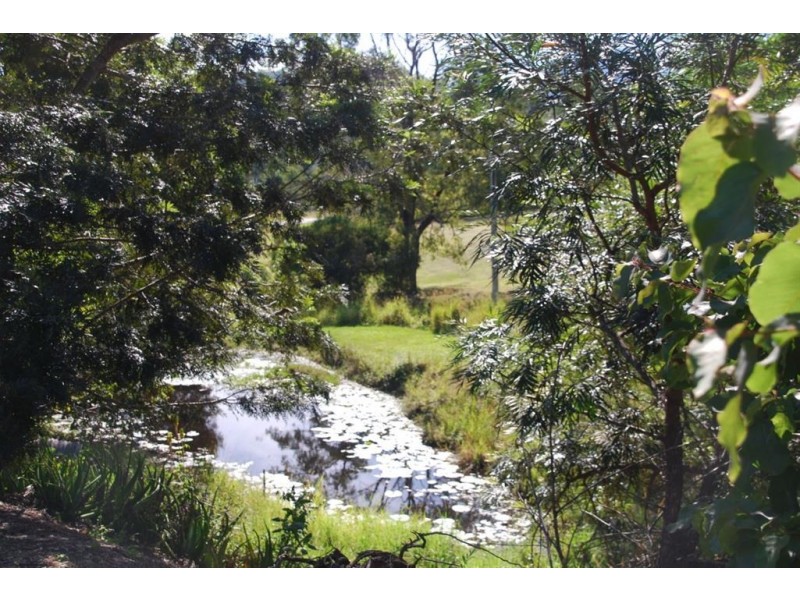 43 Kunghur Creek Rd, Kunghur NSW 2484