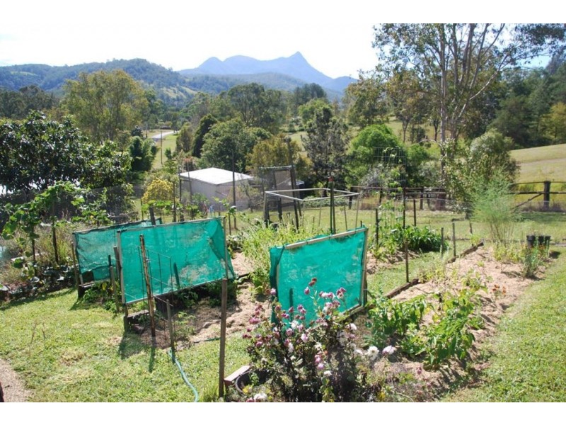 43 Kunghur Creek Rd, Kunghur NSW 2484