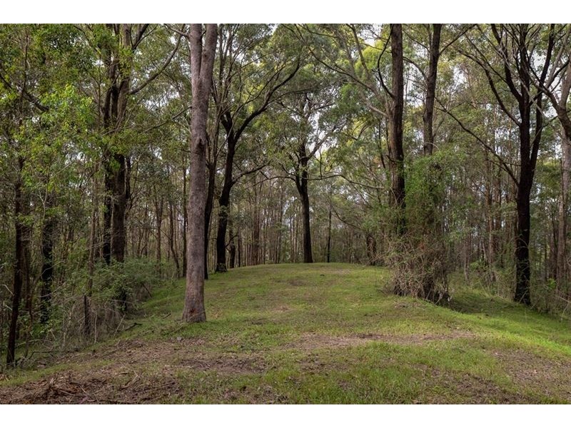 1094 Terranora Road, North Tumbulgum NSW 2490