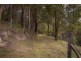 1094 Terranora Road, North Tumbulgum NSW 2490
