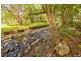 1983 Numinbah rd, Numinbah NSW 2484