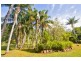 1983 Numinbah rd, Numinbah NSW 2484