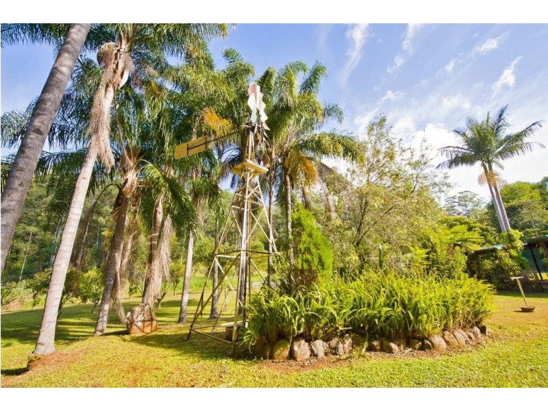 1983 Numinbah rd, Numinbah NSW 2484