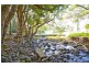 1983 Numinbah rd, Numinbah NSW 2484
