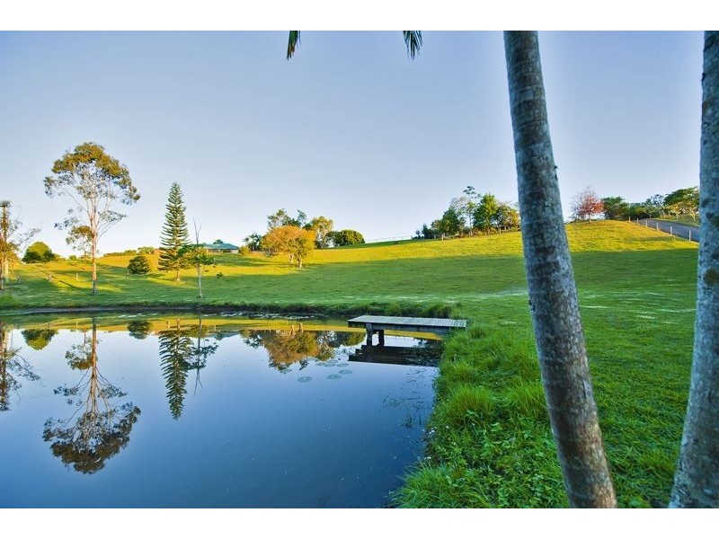 58 Colefax Court, Dulguigan NSW 2484