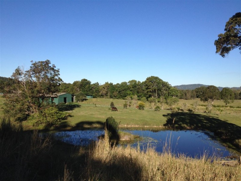 809 Dulguigan Road, North Tumbulgum NSW 2490