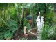 Nimbin NSW 2480