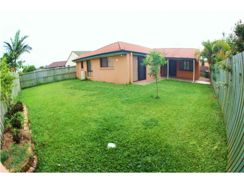 Upper Coomera QLD 4209