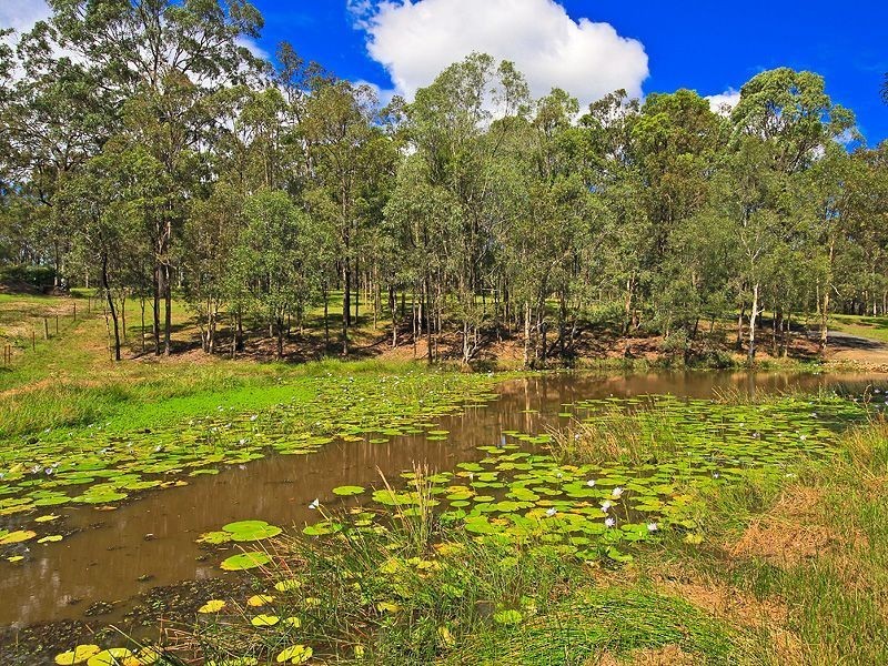 Willow Vale QLD 4209