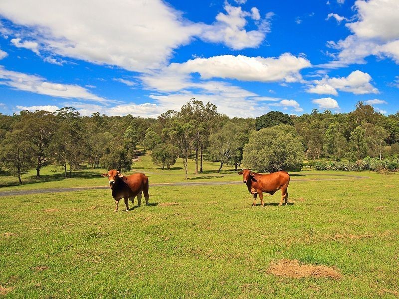 Willow Vale QLD 4209