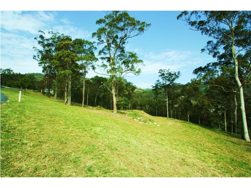 44 Pinnacle Dr, Wongawallan QLD 4210