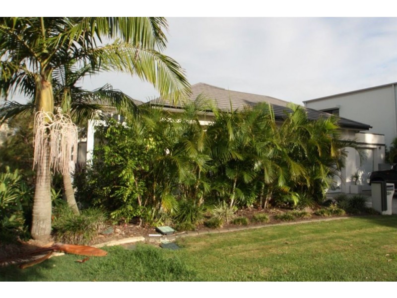 Coomera Waters QLD 4209