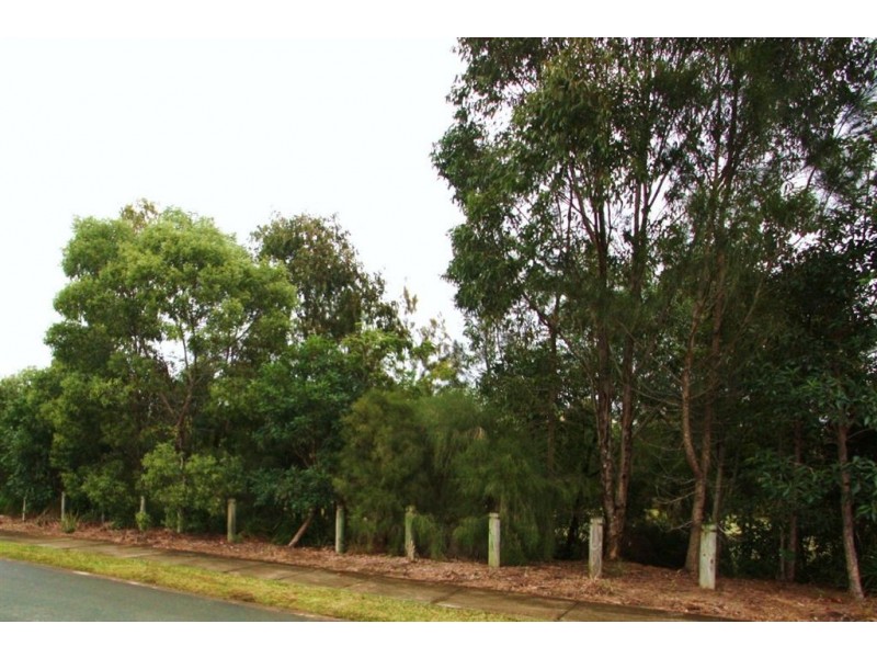 4 Madison Rd, Coomera QLD 4209