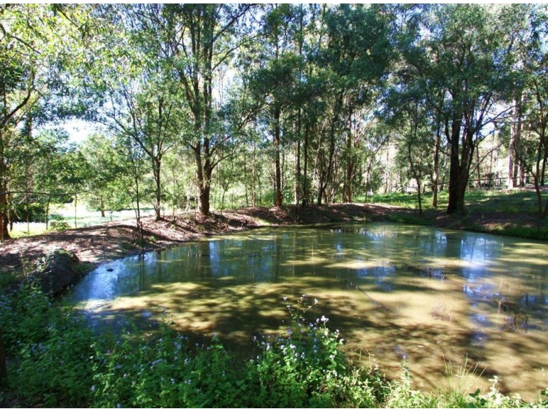 17 Mystery RD, Guanaba QLD 4210