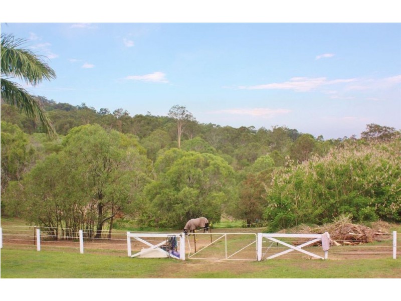 17 Courtney Drive, Upper Coomera QLD 4209