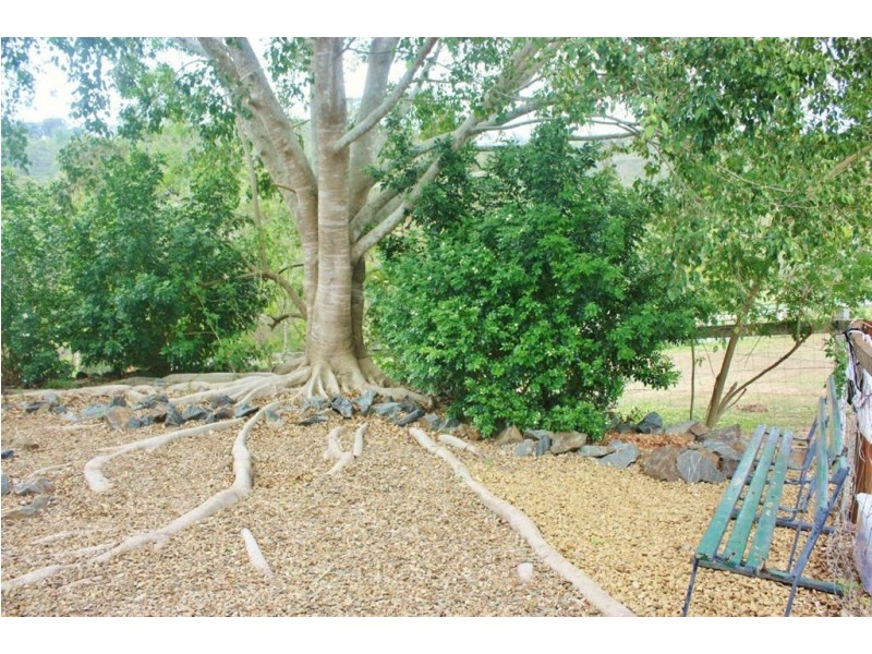 17 Courtney Drive, Upper Coomera QLD 4209