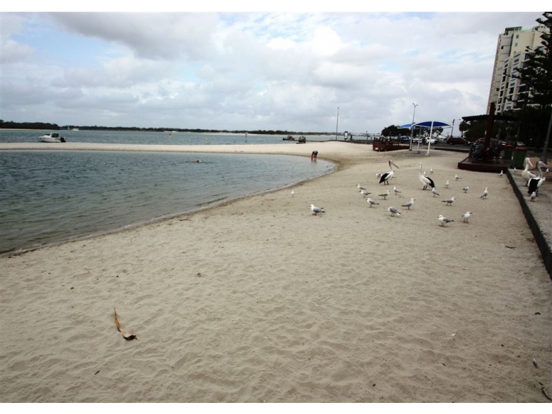 508 Clark St, Biggera Waters QLD 4216