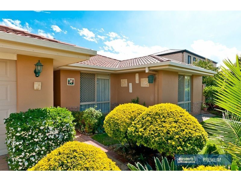 41 Groves Crescent, Boondall QLD 4034