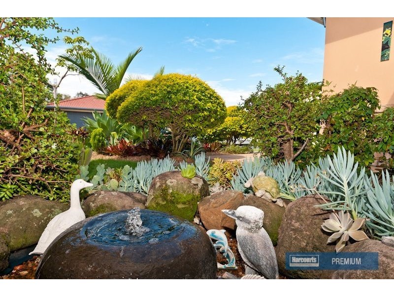 41 Groves Crescent, Boondall QLD 4034