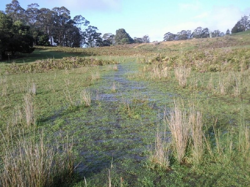 Lot 2 2526 Arthur Highway, Copping TAS 7174