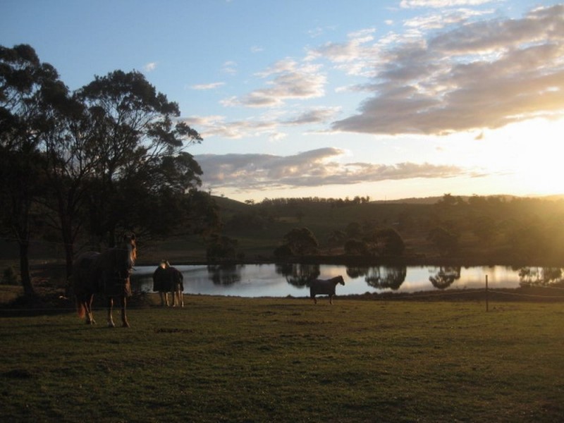 Lot 2 2526 Arthur Highway, Copping TAS 7174