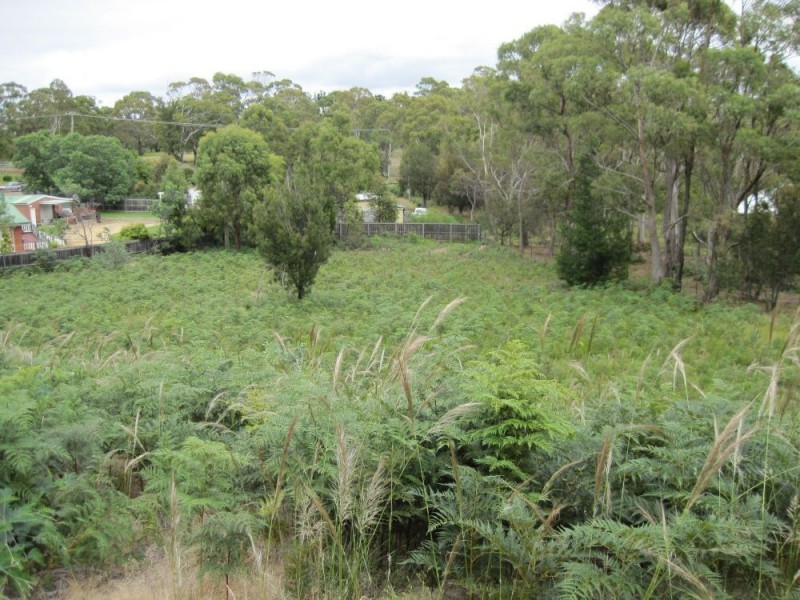 14 Bracken Court, Dodges Ferry TAS 7173