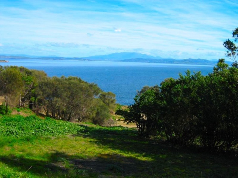 79 Grevillea Street, Primrose Sands TAS 7173
