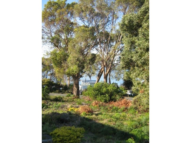 102 Linden Road, Primrose Sands TAS 7173