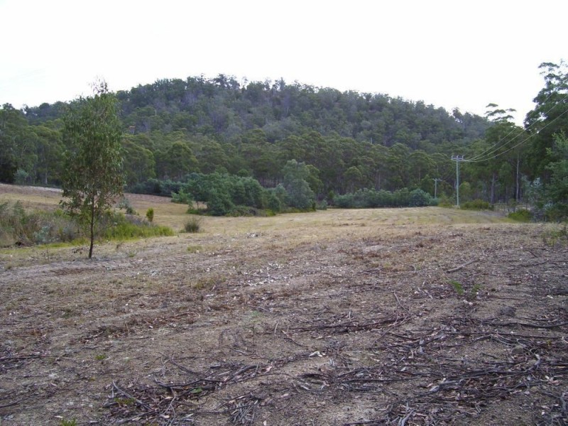 Lot 1 Sugarloaf Road, Forcett TAS 7173
