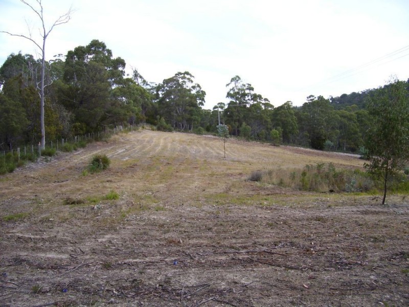 Lot 1 Sugarloaf Road, Forcett TAS 7173