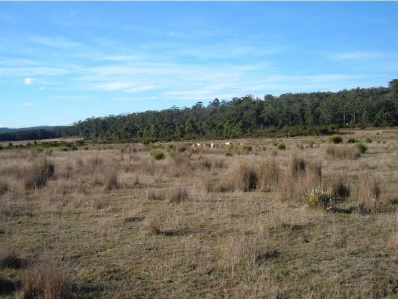 Lot 1 Kellets Road, Sloping Main TAS 7186