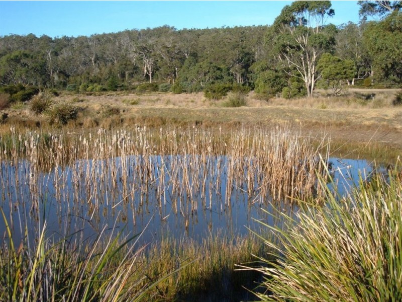 Lot 1 Kellets Road, Sloping Main TAS 7186